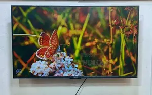 Vision-43" Inch Android Frameless Voice Control TV
