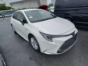 Toyota Corolla WXB Pearl 4 Point 2020