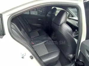 Toyota Corolla WXB Pearl 4 Point 2020