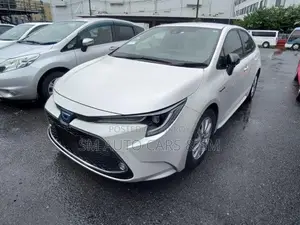 Toyota Corolla WXB Pearl 4 Point 2020