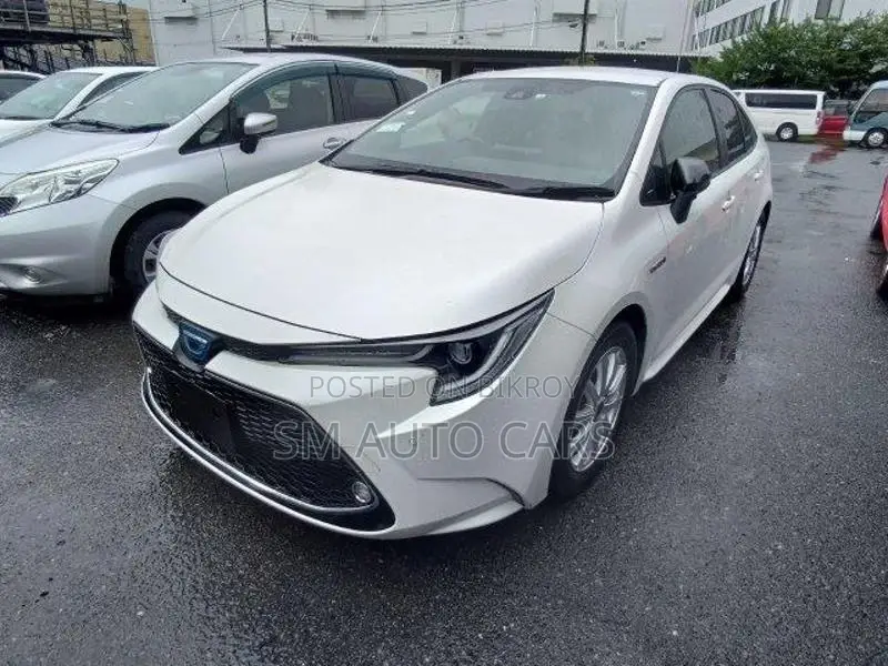 Toyota Corolla WXB Pearl 4 Point 2020