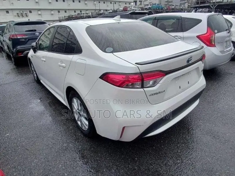 Toyota Corolla WXB Pearl 4 Point 2020