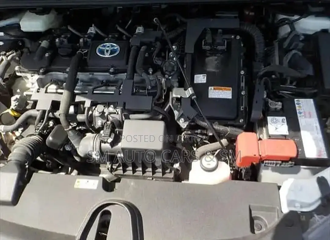 Toyota Corolla WXB Pearl 4 Point 2020
