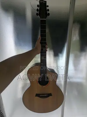 Acoustic guitar with equalizer.