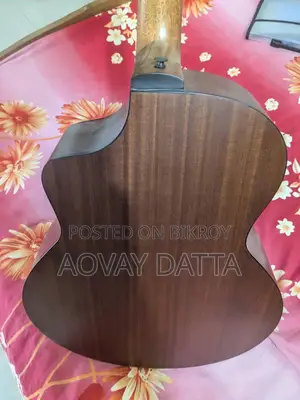 Acoustic guitar with equalizer.