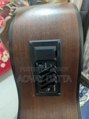 Acoustic guitar with equalizer.
