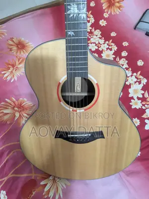 Acoustic guitar with equalizer.