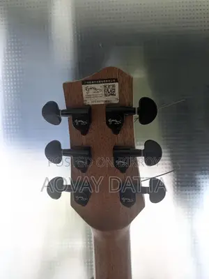 Acoustic guitar with equalizer.