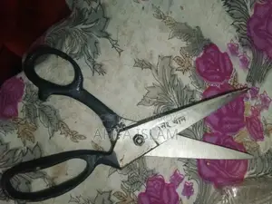 Tailor's Scissors