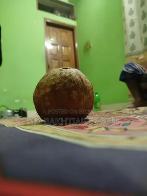 পানি ছাড়া নারকেল বিক্রি