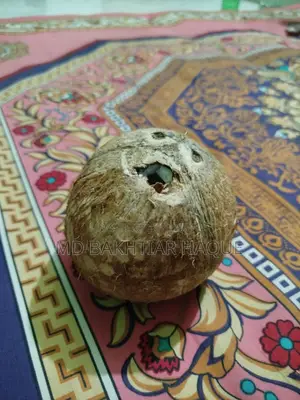 Coconut for sale (without water)