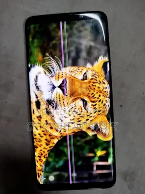 স্যামসাং গ্যালাক্সি এস৯ প্লাস (ব্যবহৃত)