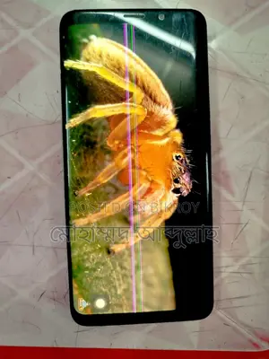 স্যামসাং গ্যালাক্সি এস৯ প্লাস (ব্যবহৃত)