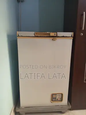 Medium Deep Freezer