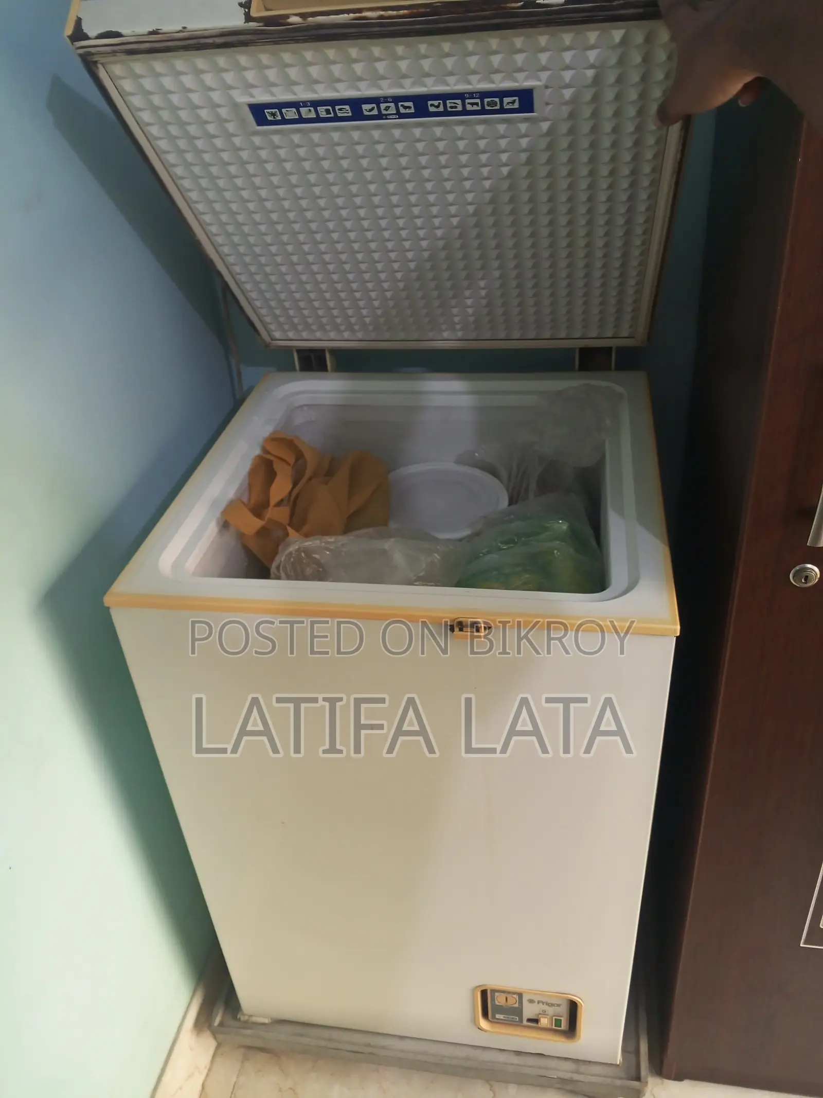 Medium Deep Freezer