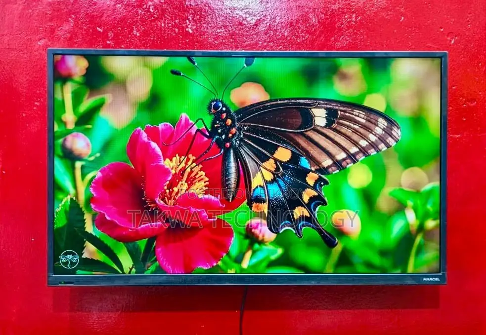 Marcel-43" Inch Android TV