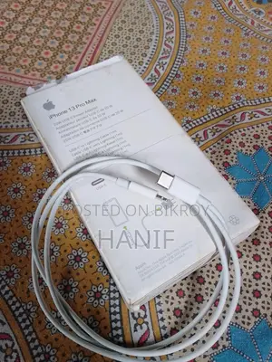 Apple iPhone 12 Pro Cable