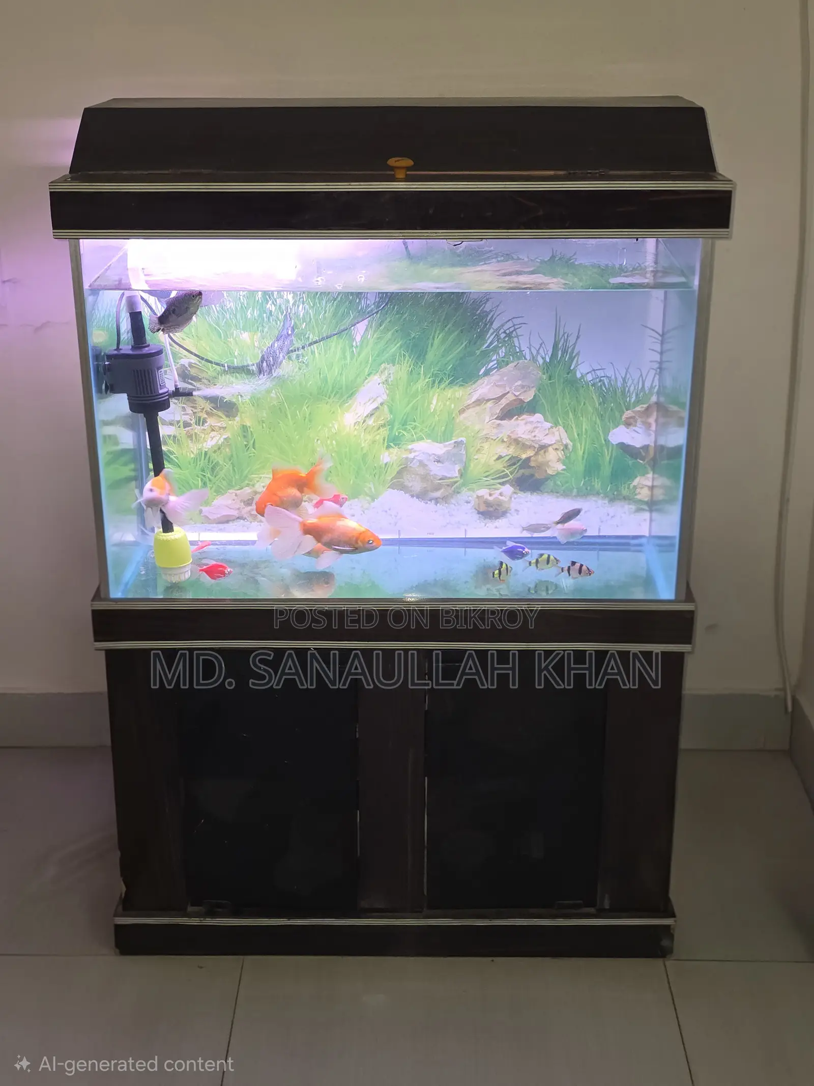 ফিশ অ্যাকোয়ারিয়াম