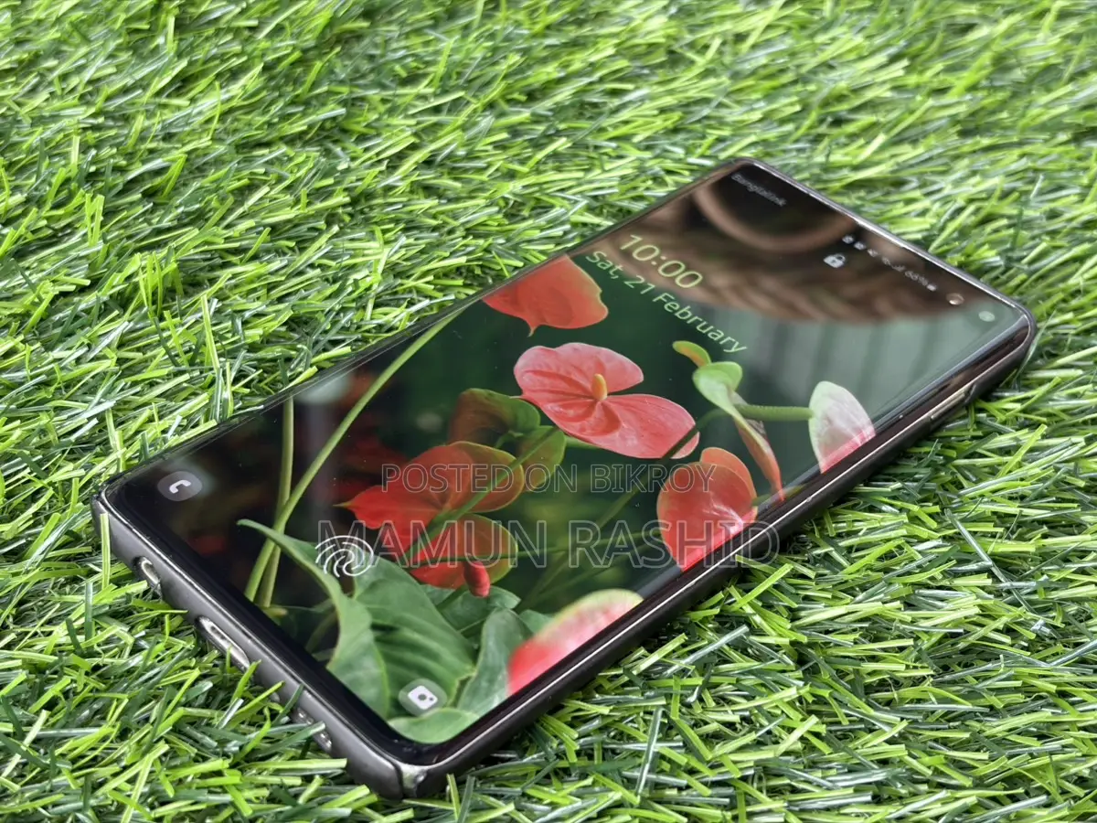 Samsung Galaxy S10 Plus 8/128 (Used)