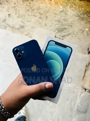 Apple iPhone 12 (Used)