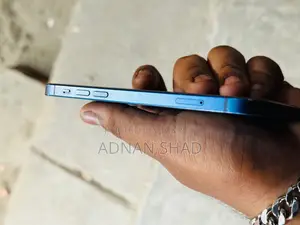 Apple iPhone 12 (Used)