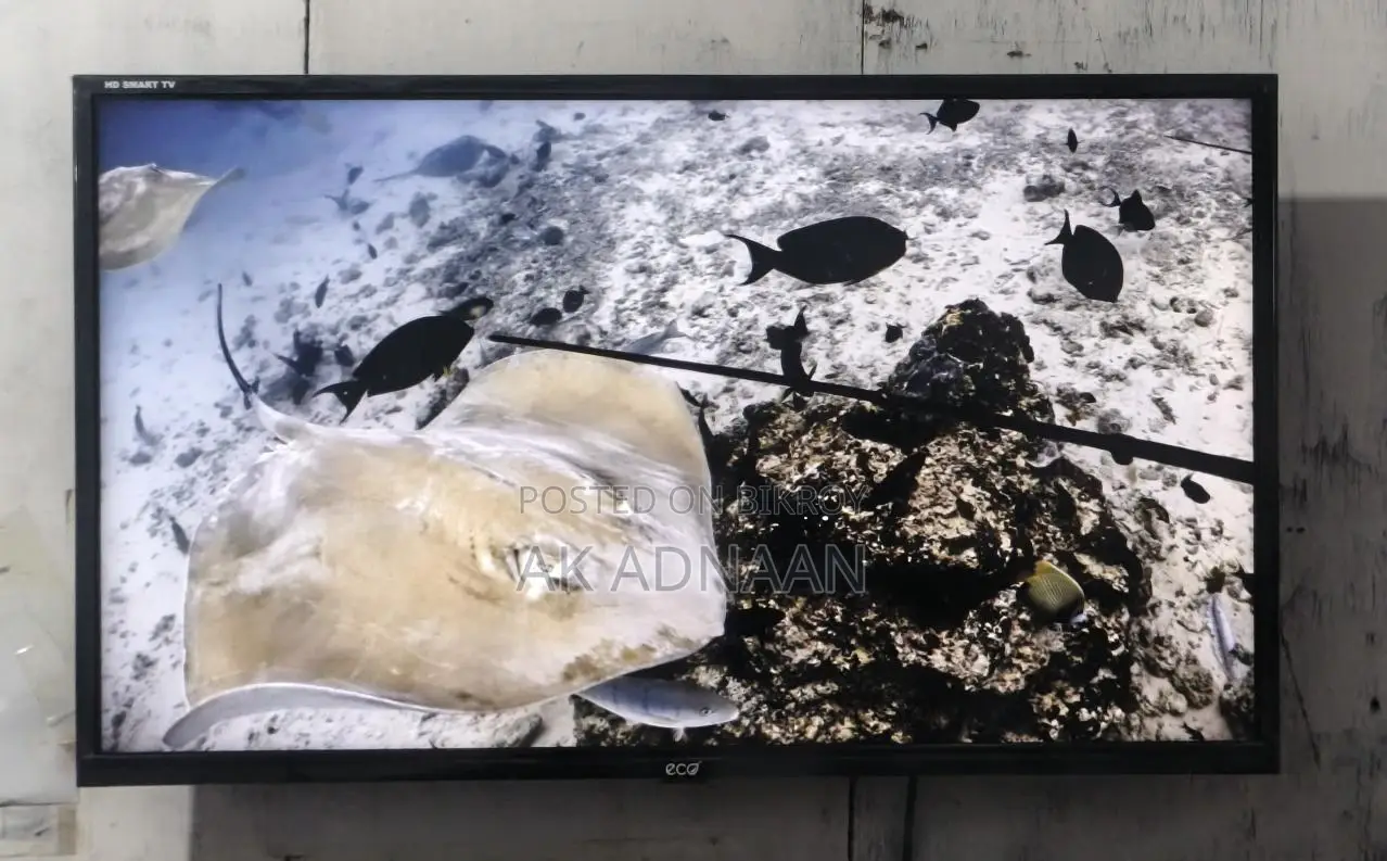 Eco+ Smart LED TV