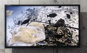 Eco+ Smart LED TV