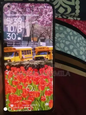 Xiaomi Mi 11 Ultra (ব্যবহৃত)