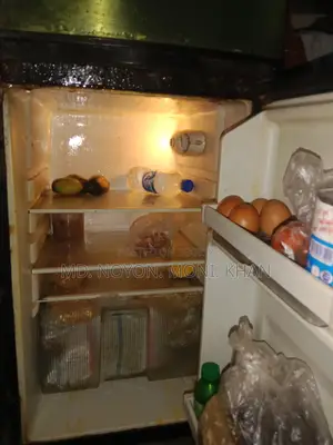 Fridge for Sale