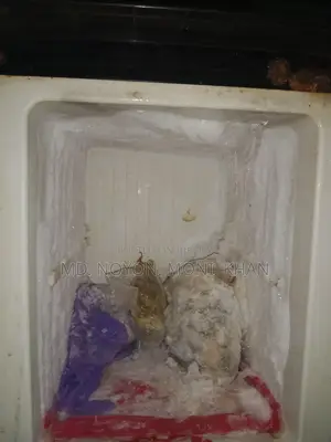 Fridge for Sale