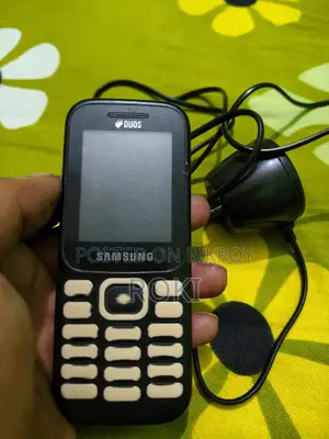 Samsung B313E (Used)