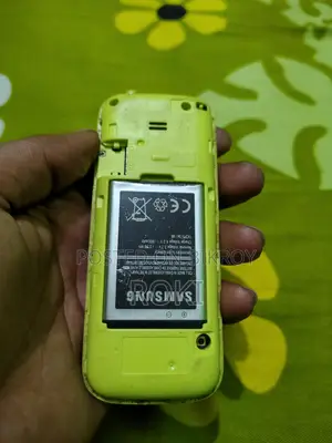 Samsung B313E (Used)
