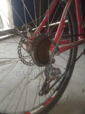 Duranto Bicycle