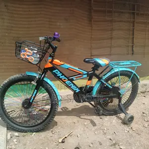 Phoenix Extrem Bicycle