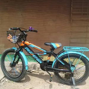 Phoenix Extrem Bicycle