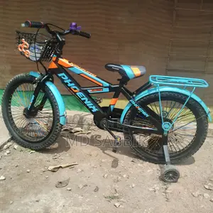 Phoenix Extrem Bicycle
