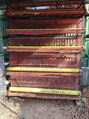 Chickens, quails, and bird cages for sale