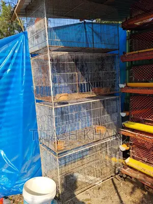 মুরগি, কোয়েল পাখি ও পাখির খাচা বিক্রি করা হবে