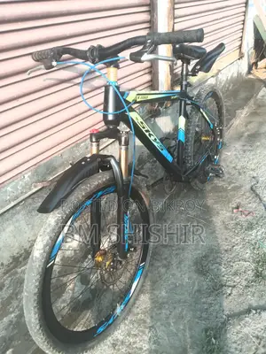 Non-Gear Bicycle