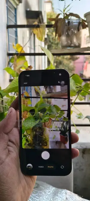 Apple iPhone 13 Pro (Used)