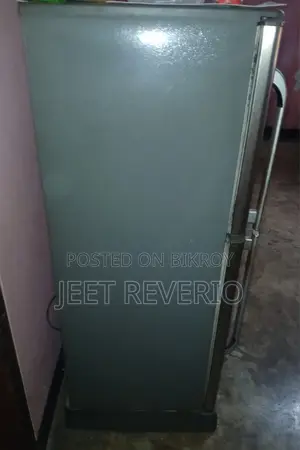 Old Fridge