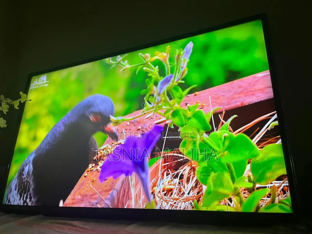 Lg Smart TV 4k 43inch Uhd Voice Control