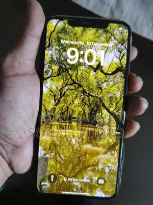 Apple iPhone 11 Pro Max . (Used)
