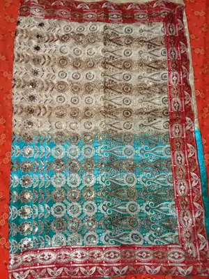 পার্টি শাড়ি