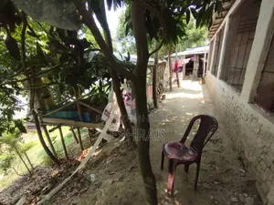 মুরগীর ফার্ম বিক্রি করা হবে