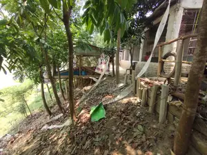 Poultry farm for sale