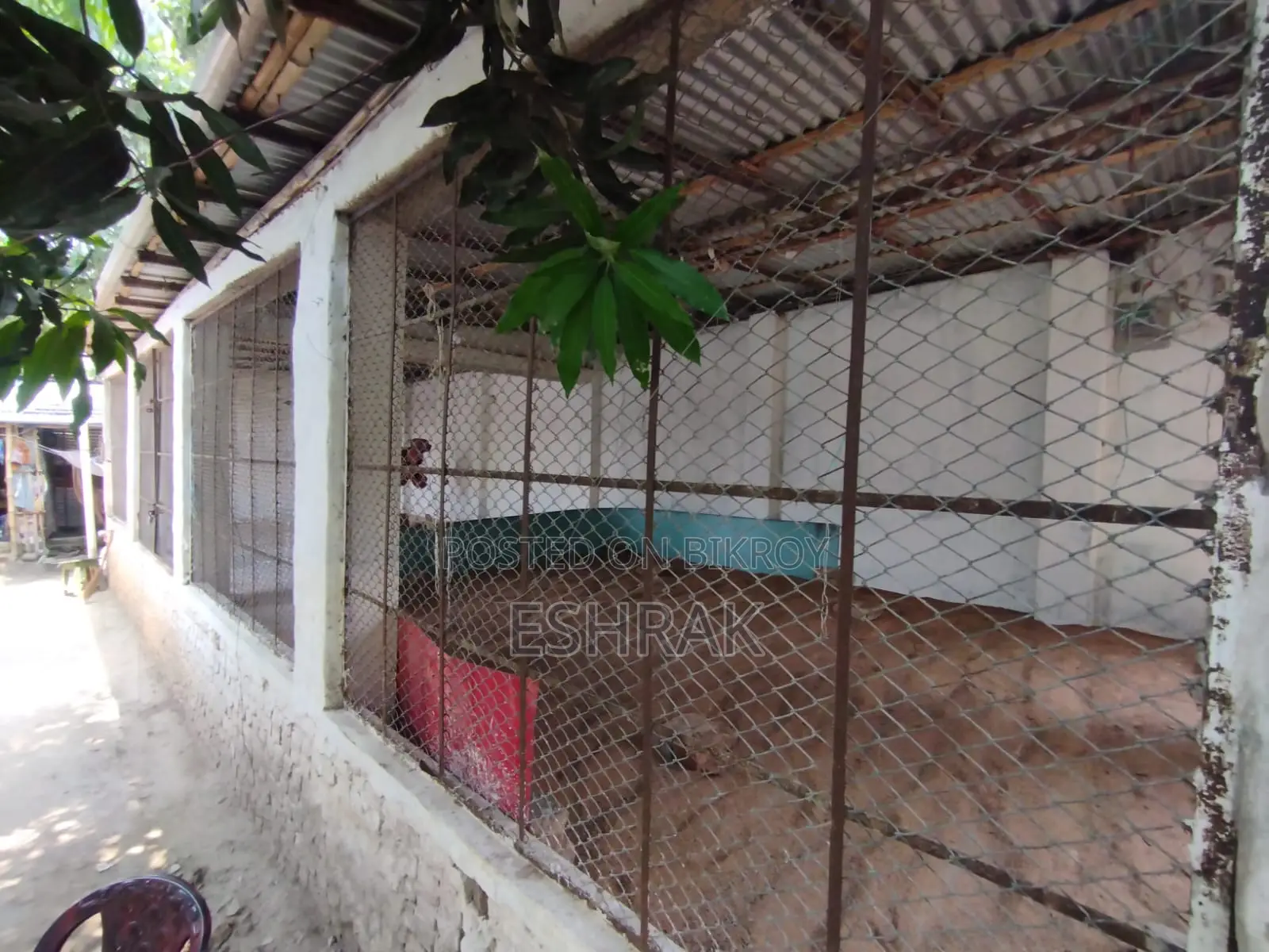 Poultry farm for sale