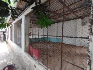 Poultry farm for sale