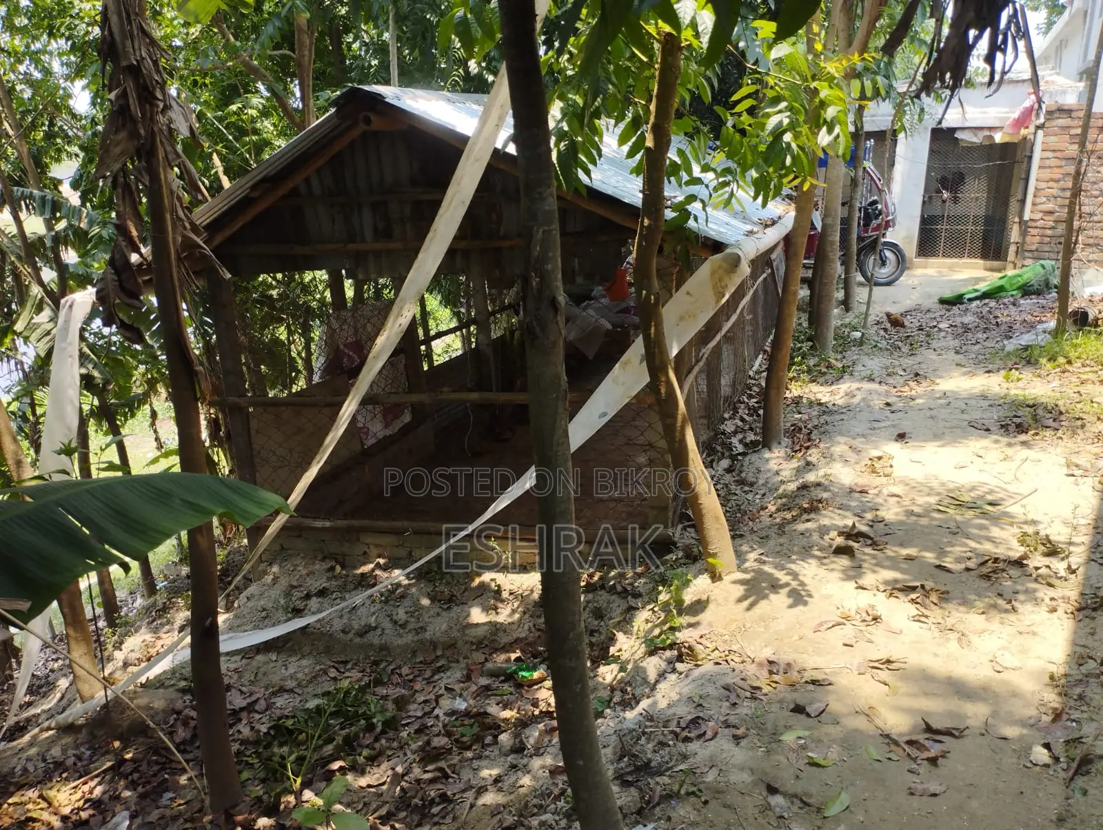 Poultry farm for sale
