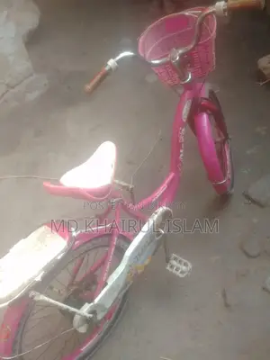 20-inch Ladies Bicycle